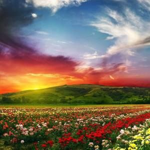 Meet your Posher, Melisa